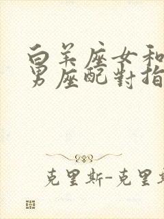 白羊座女和射手男座配对指数