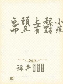 龟头上起小红点而且有点痒怎么回事