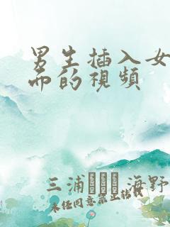 男生插入女生下面的视频