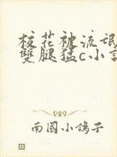 校花被流氓扒开双腿猛c小说