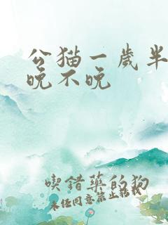 公猫一岁半绝育晚不晚