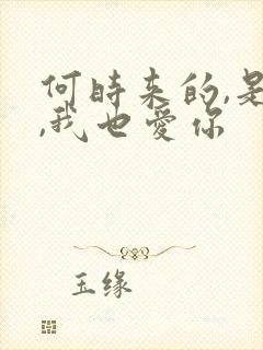 何时来的,是了,我也爱你