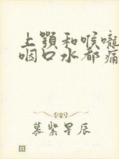 上颚和喉咙痛 咽口水都痛