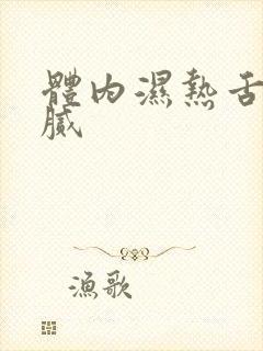 体内湿热舌苔黄腻