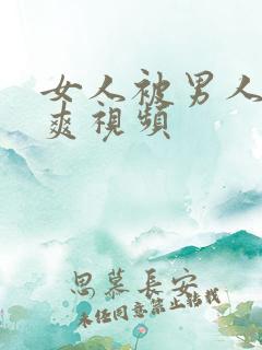 女人被男人操到爽视频