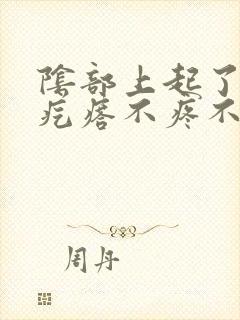 阴部上起了小红疙瘩不疼不痒