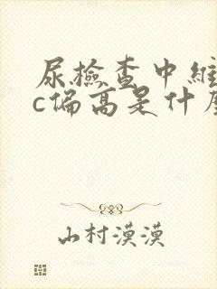 尿检查中维生素c偏高是什么原因