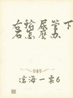 右输尿管下段结石怎么办