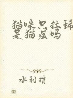 猫咪只拉稀不吐是猫瘟吗