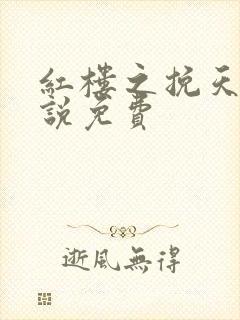 红楼之挽天倾小说免费