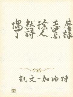 偶然徐志摩表达了诗人怎样的情感