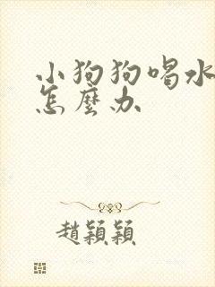 小狗狗喝水都吐怎么办