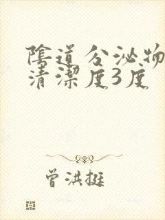 阴道分泌物检查清洁度3度