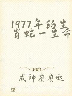 1977年的生肖蛇一生命运如何