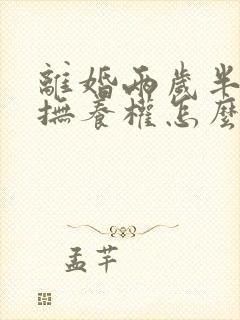 离婚两岁半小孩抚养权怎么判