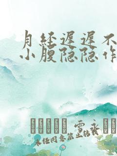 月经迟迟不来,小腹隐隐作痛怎么回事