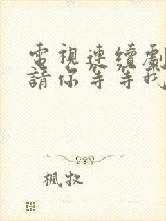 电视连续剧幸福请你等等我