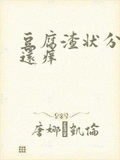 豆腐渣状分泌物还痒