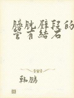 膀胱壁段的输尿管有结石