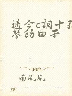 适合c调十孔口琴的曲子