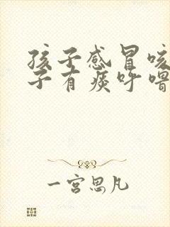 孩子感冒咳嗽嗓子有痰呼噜呼噜的怎么办