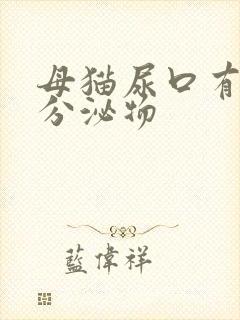 母猫尿口有黄色分泌物