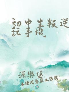 初中生叛逆厌学玩手机