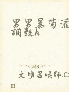 男男暴菊灌浣肠调教h