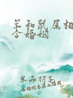 羊和鼠属相合不合婚姻