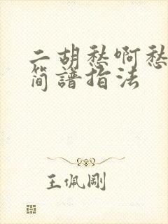 二胡愁啊愁g调简谱指法