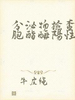 分泌物检查白细胞酯酶阳性