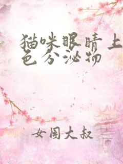 猫咪眼睛上有黄色分泌物