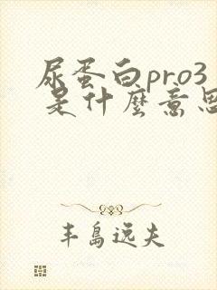 尿蛋白pro3 是什么意思,严重吗