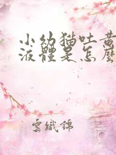 小幼猫吐黄色的液体是怎么回事