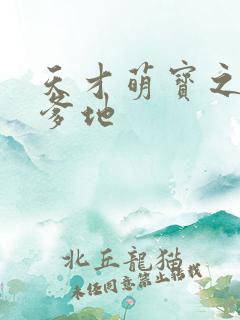 天才萌宝之腹黑爹地