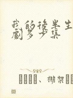 我的后半生电视剧多少集