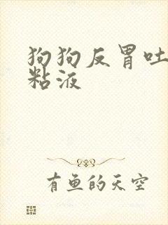 狗狗反胃吐白色粘液