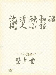 沈清秋和洛冰河同人小说