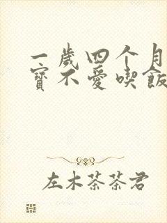 一岁四个月的宝宝不爱吃饭咋办