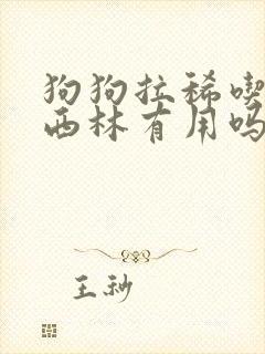 狗狗拉稀吃阿莫西林有用吗