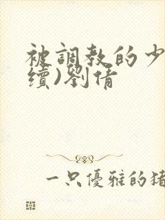 被调教的少妇(续)刘倩