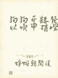 狗狗牙龈发炎可以吃甲硝唑吗