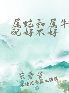 属蛇和属牛的婚配好不好