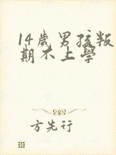 14岁男孩叛逆期不上学