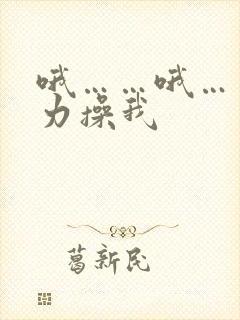 哦……哦……用力操我