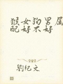 猴女狗男属相婚配好不好