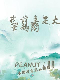 我前妻是大明星笔趣阁