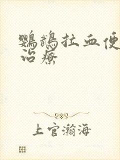 鹦鹉拉血便怎么治疗