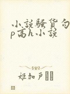 小说骚货勾引np高h小说