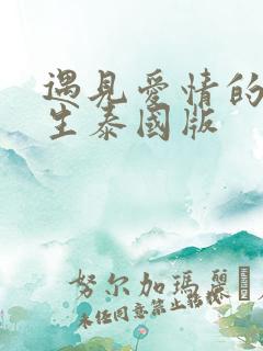 遇见爱情的利先生泰国版